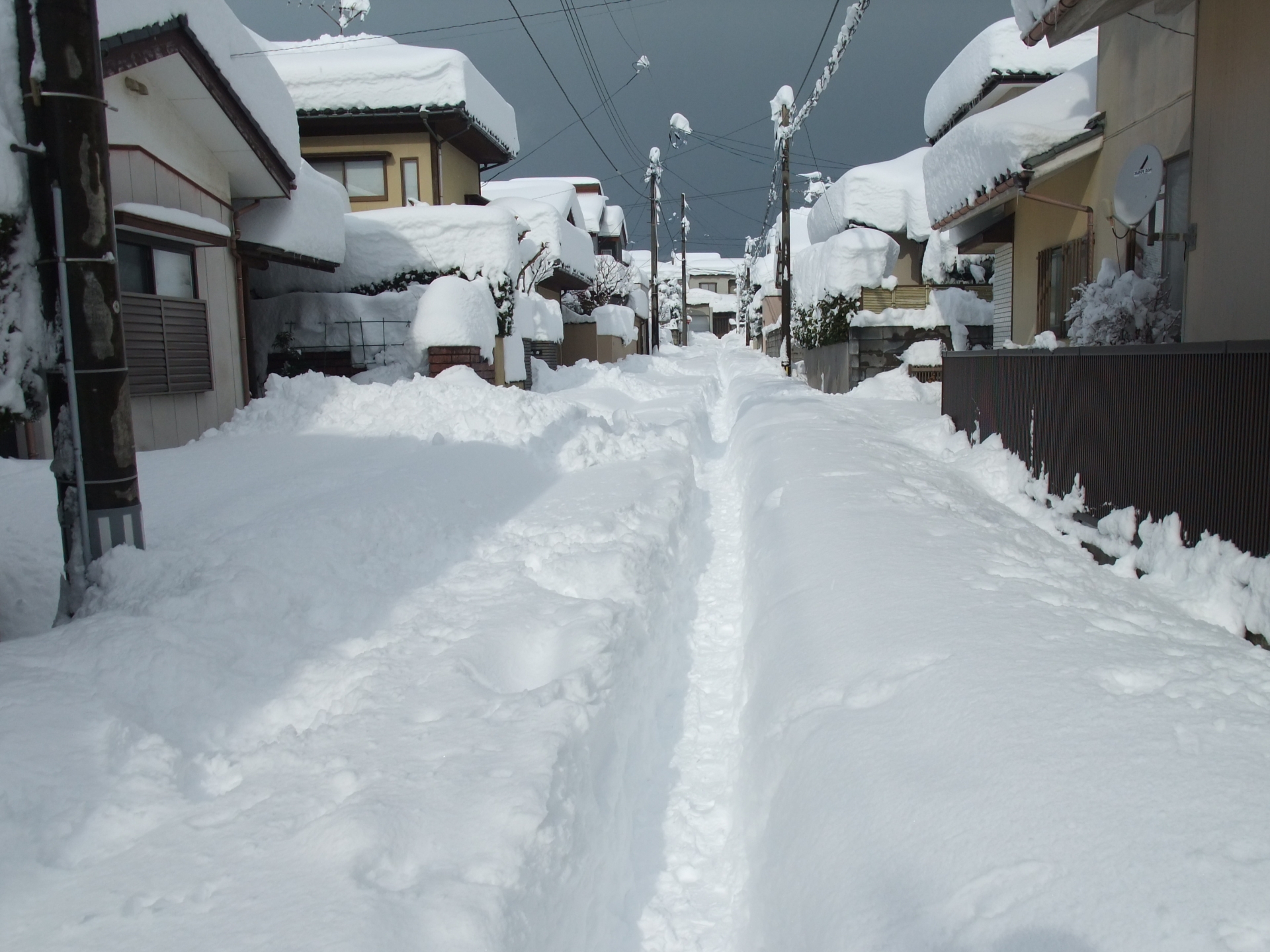 千歳の降雪イメージ